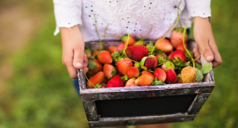 Strawberry Fields Forever