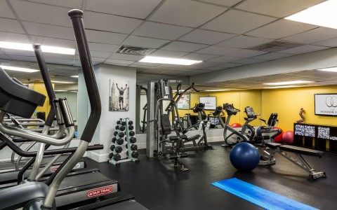 Fitness Center - Exercise Equipment