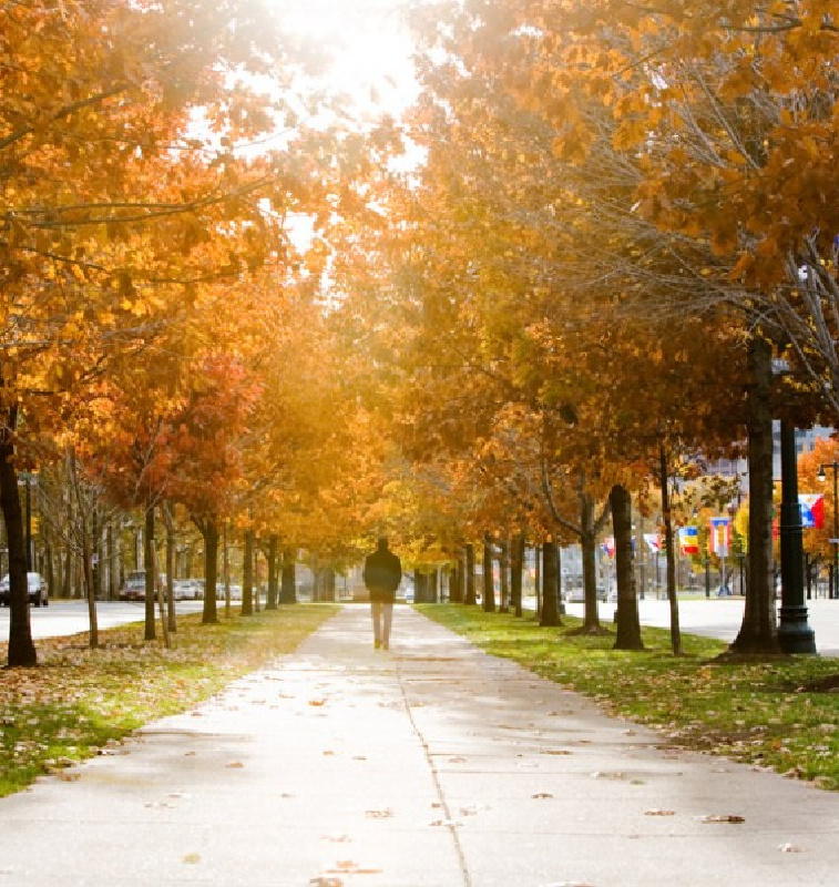 Fall Package