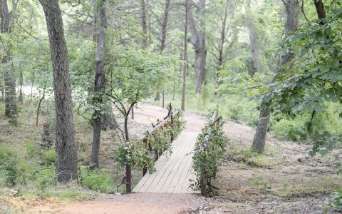 wooden bridge inside of a forest