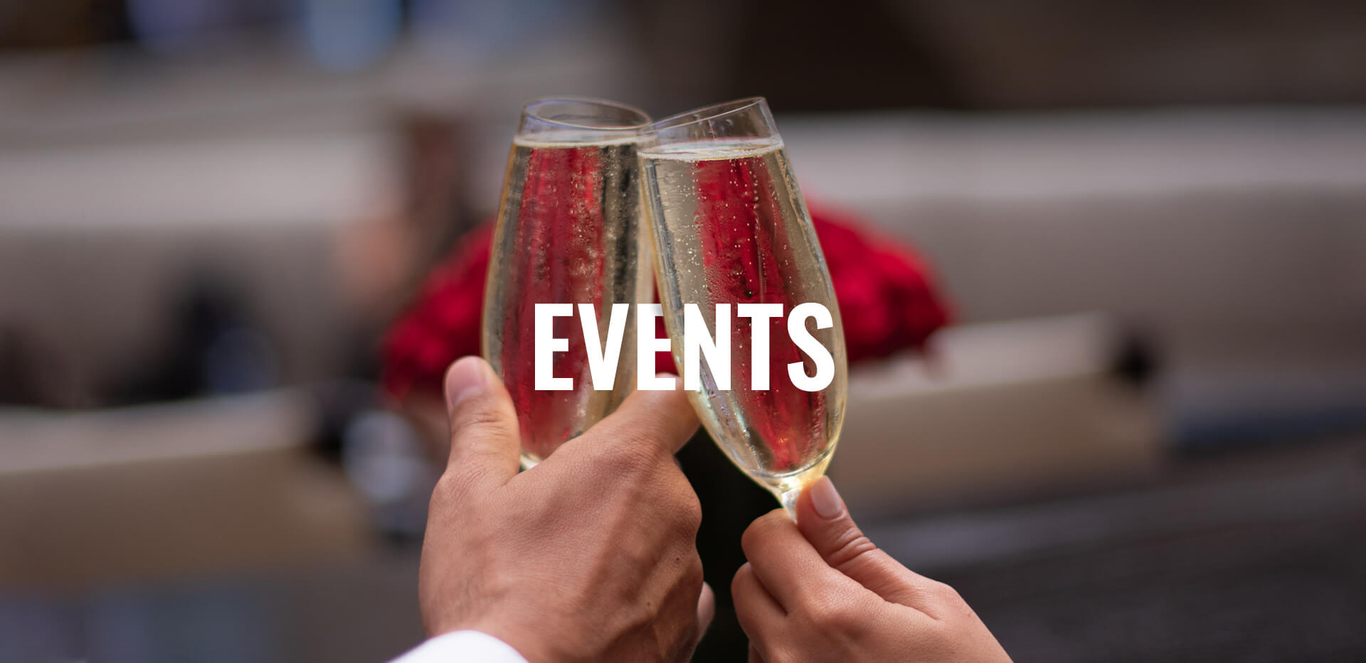 toro toro events header