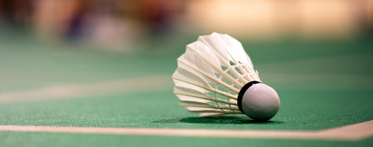 BADMINTON TOURNAMENT