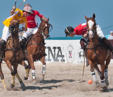 Polo on the Beach