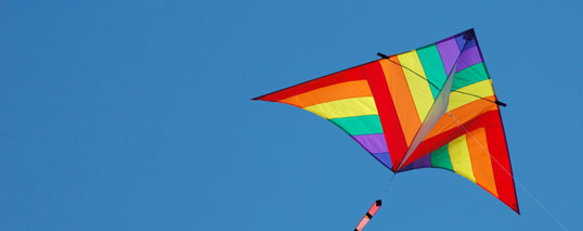 GO FLY A KITE