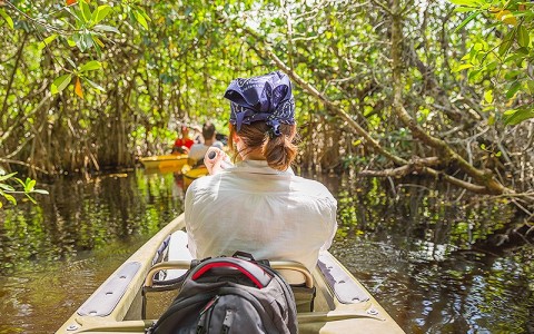 woman canoeing in a swamp
