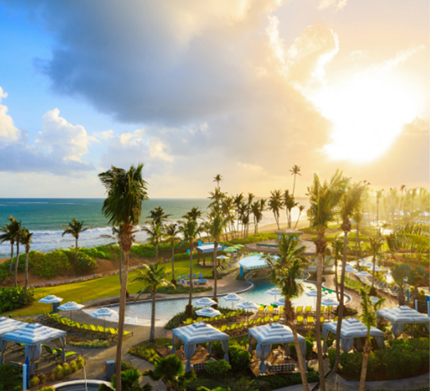 swimming pool area with palm trees on a sunny day