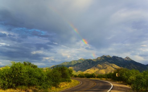 open road in desert with greenery and a rainbow in the sky