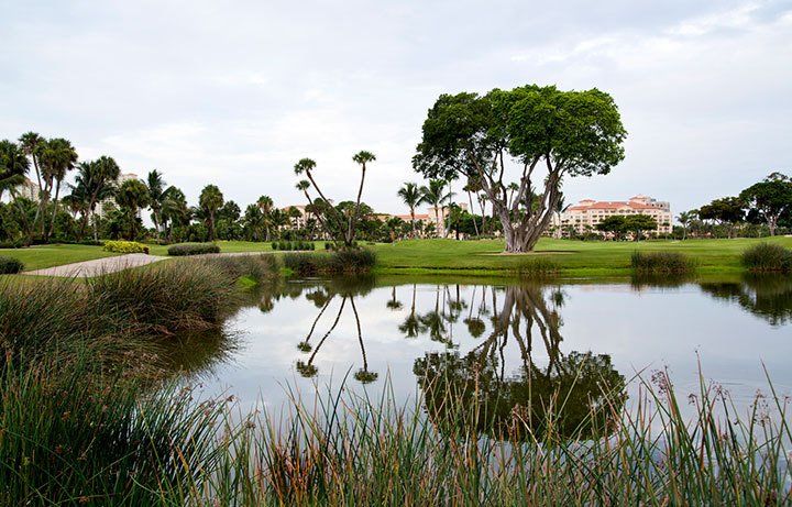View of pond at Turnberry Country Club