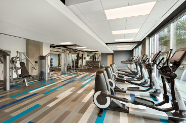 A work out room with lots of equipment including ellipticals, treadmills, and weight machines 