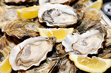 Oysters with lemon slices