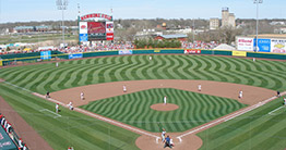 hammons-field