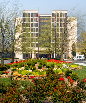 our hotel