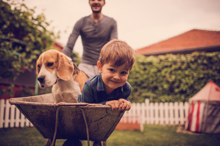 boy and beagle in wheelbarrow