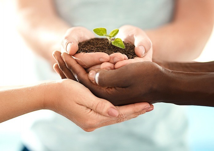 Diverse hands holding soil and a growing plant symbolizing green initiatives