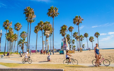 people biking in front of the beach 