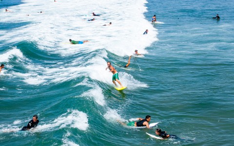 group of people surfing in the ocean