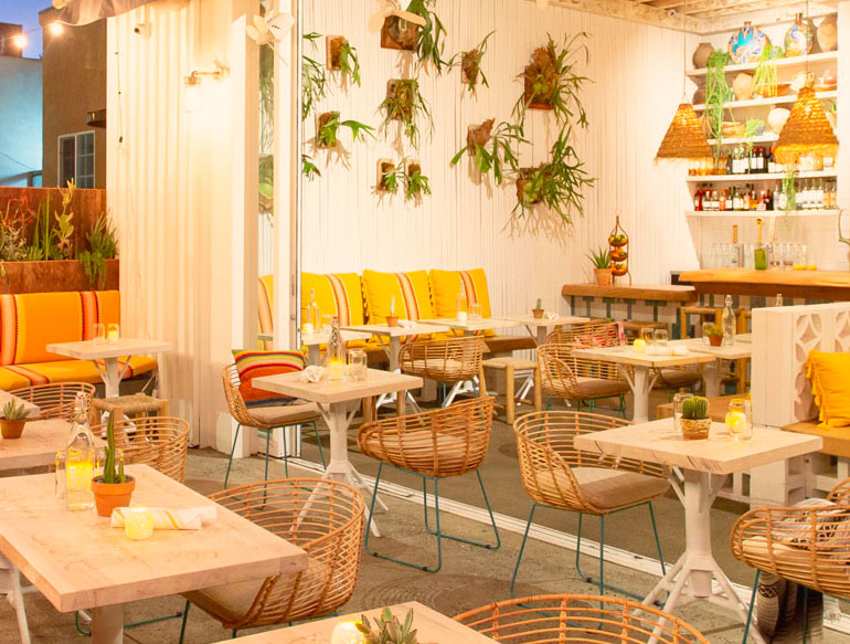 dining area accented with yellow seats and hanging plants at zeldas