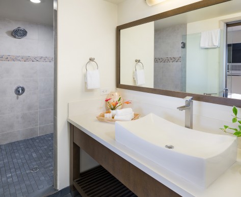 lifestyle junior suite bathroom with a walk in shower