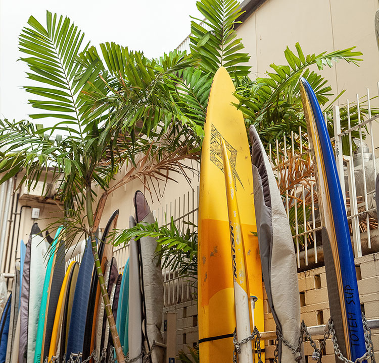 surf boards stacked against a fence