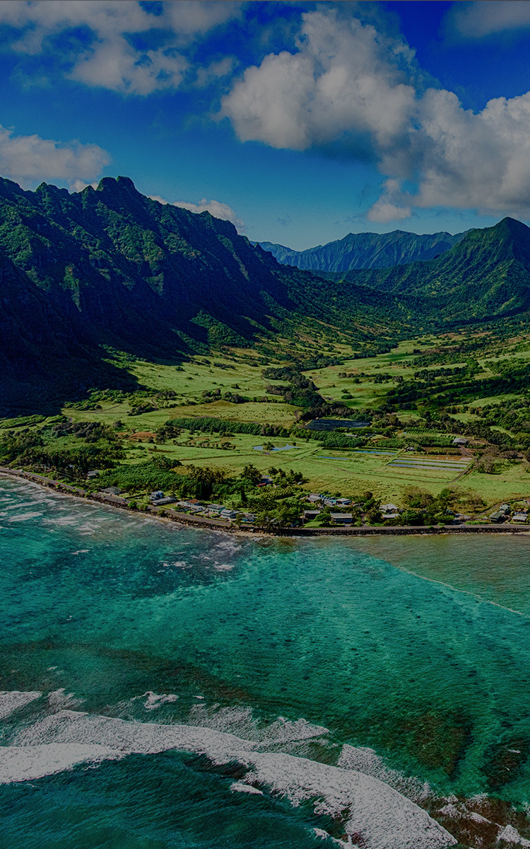 VIVE Hotel Waikiki Boutique Hotel Waikiki Official site