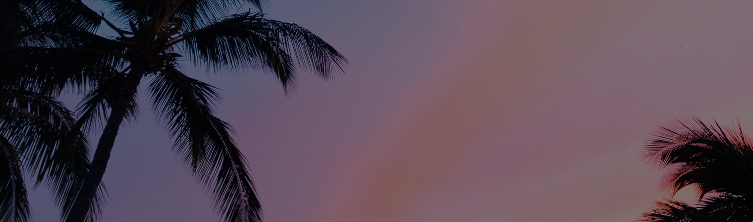 palm trees against a sunset sky