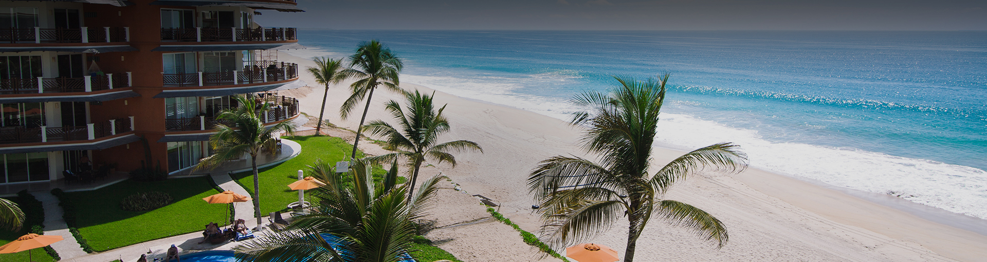 beach view with tree palms