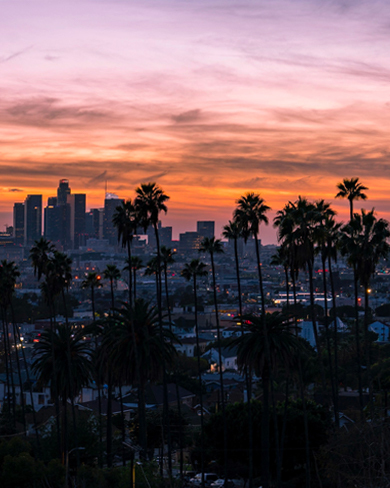 sunset in the city with palm trees 