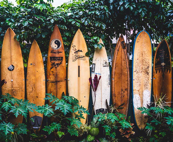 surfboards piled by some plants