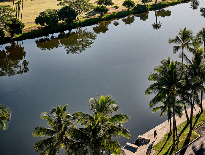 aerial view of a canal with palm trees on the sides 