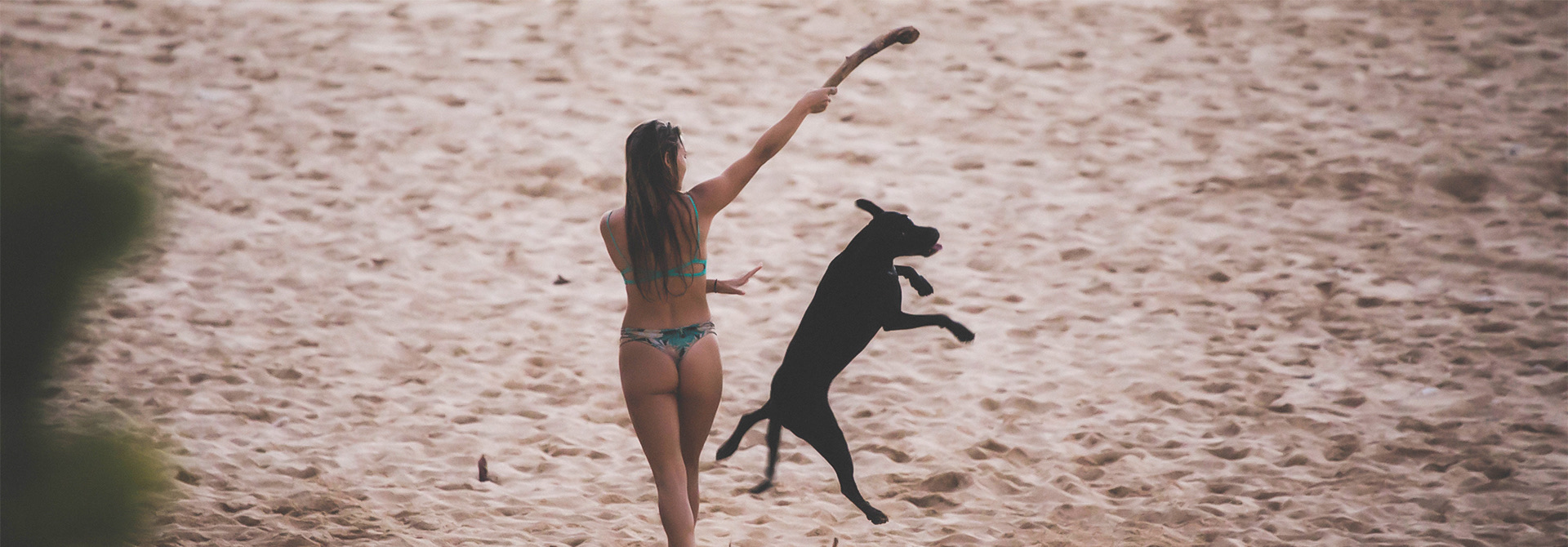 woman playing with her dog on the beach