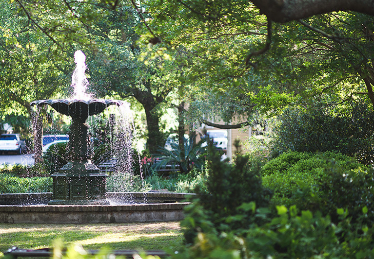 Water fountain surrounded by greenery