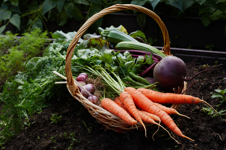 basket of vegetablesjpg