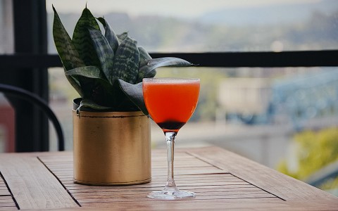 red cocktail in a wine glass next to a potted succulent