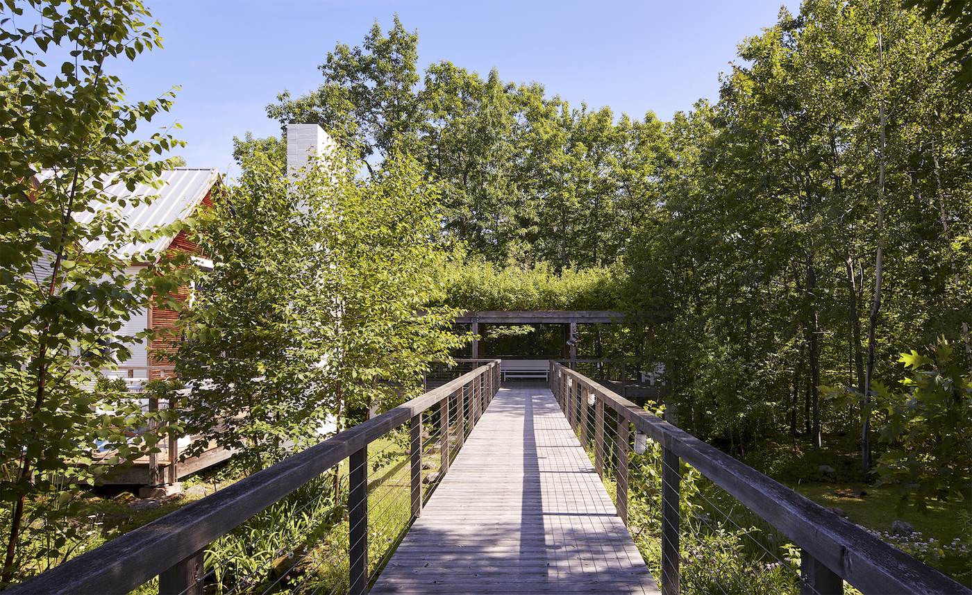 View of a wooden bridge surrounded by nature