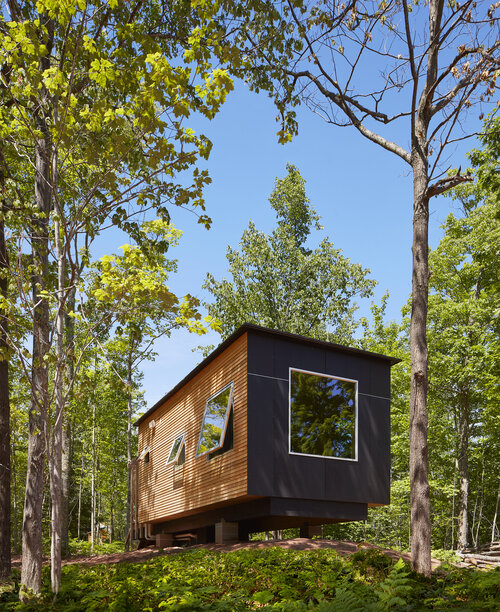 fancy and sophisticated treehouse exterior view