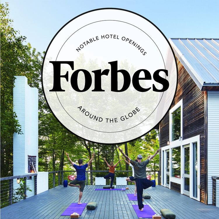 people doing yoga at the Forbes in the terrace