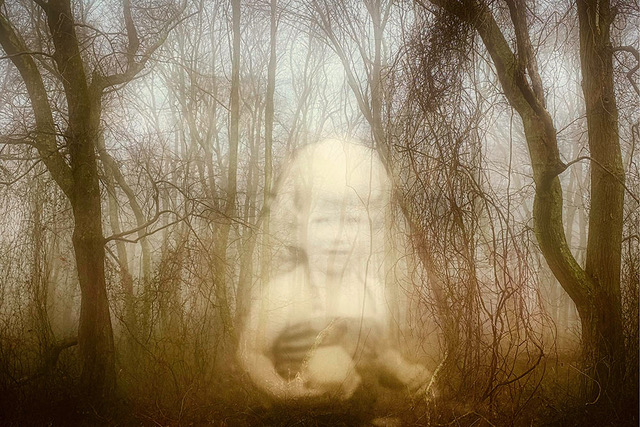 blurry and dark image of the nature and a kind of ghost babe figure