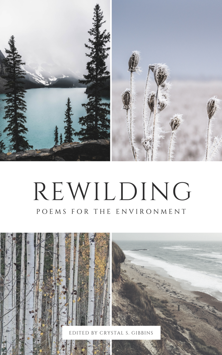 rewilding cover