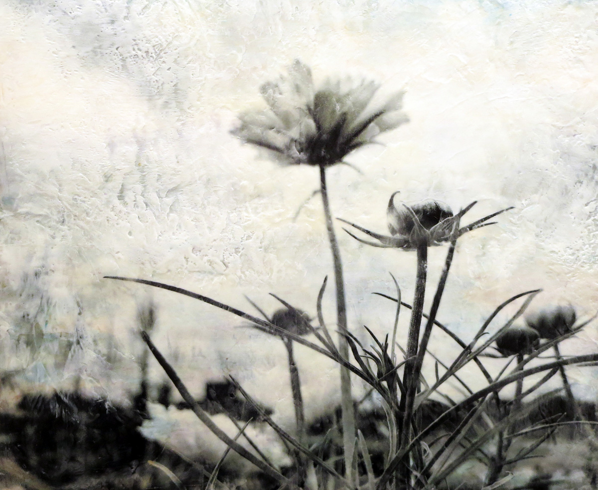 blurry image of little flowers in gray accents