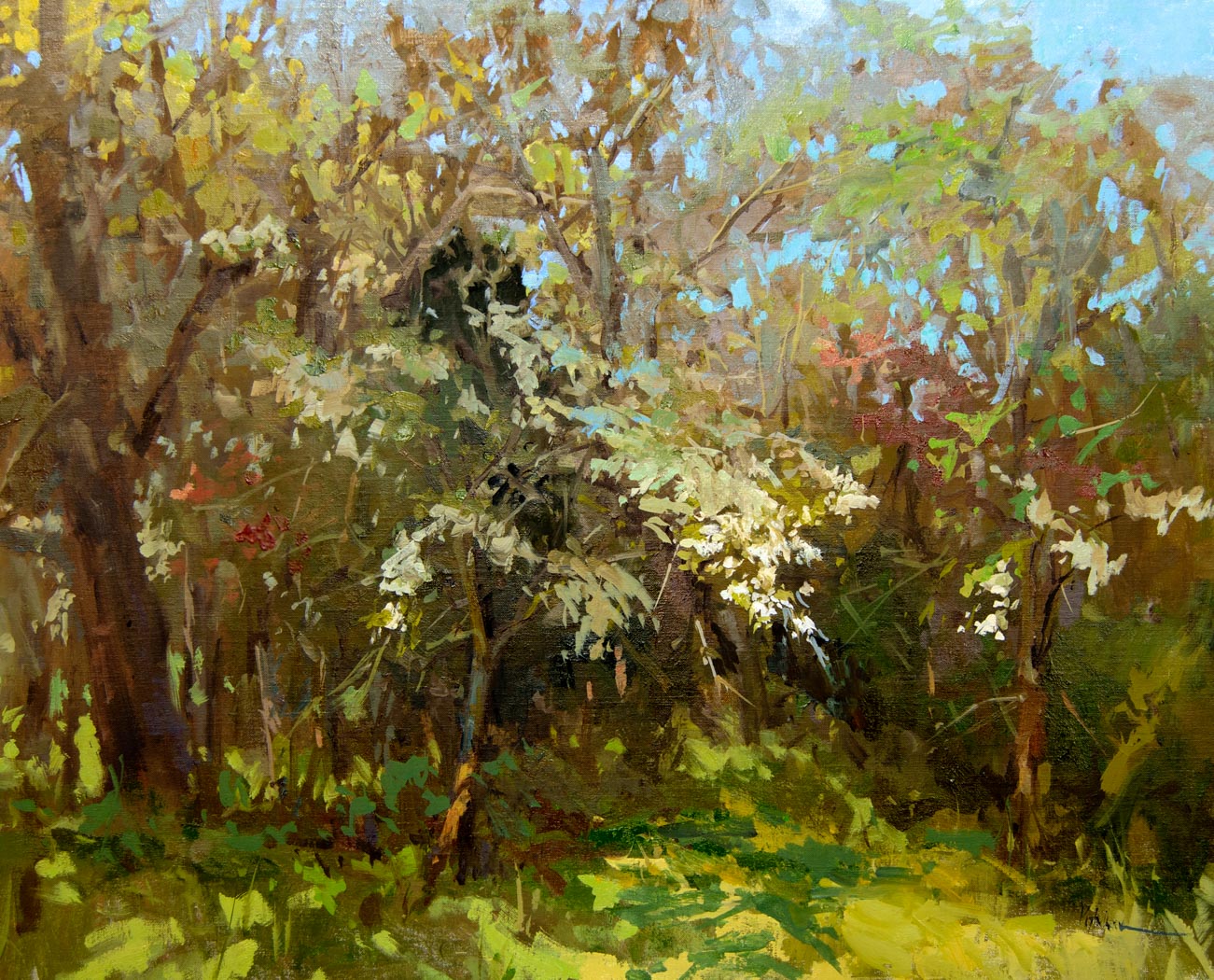 bunch of small trees paint 