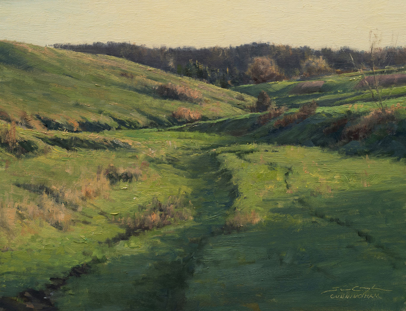 Canvas of a green field with sunlight 