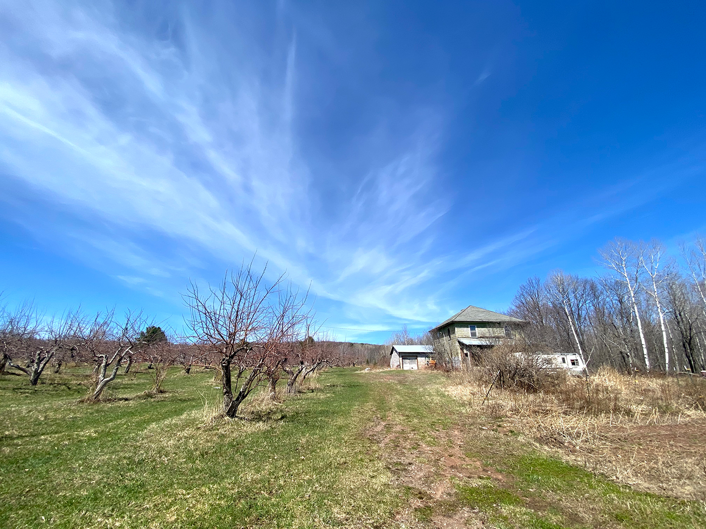 View of a house in the middle of nature with a blue sky as background 