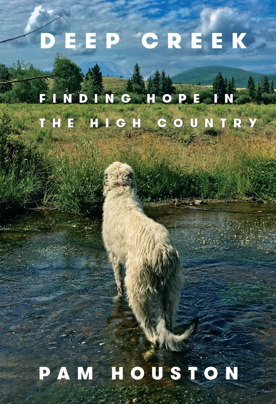 book Finding Hope In The High Country cover