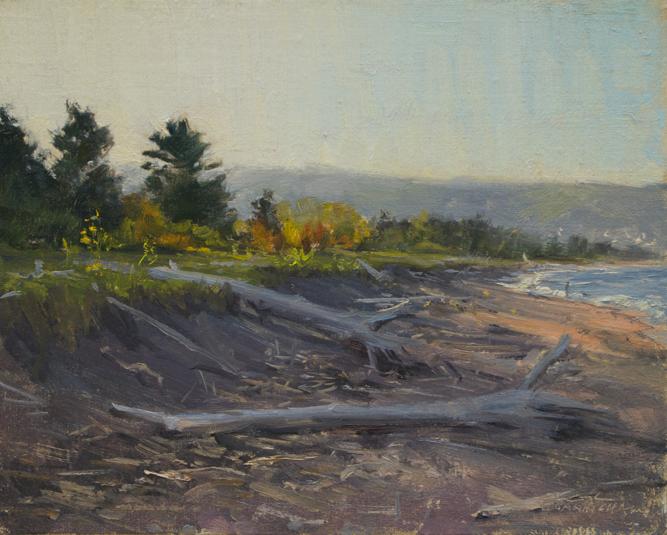 A painting of broken branches near the beach