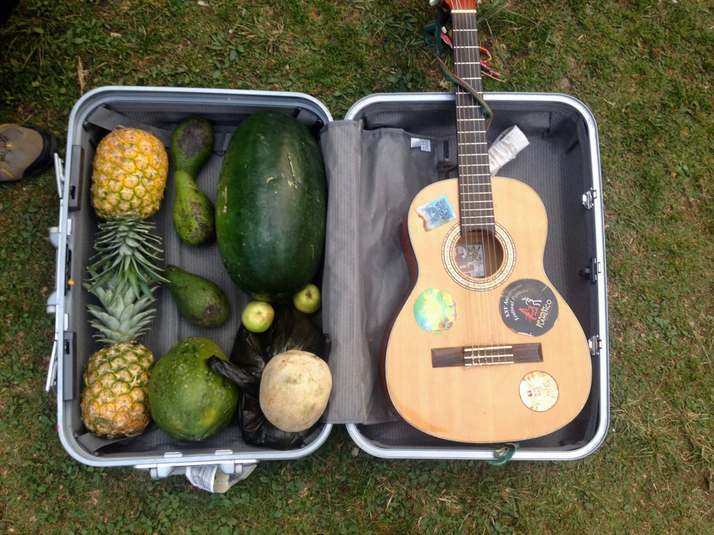 open suitcase with a guitar and couple of fruits  within it
