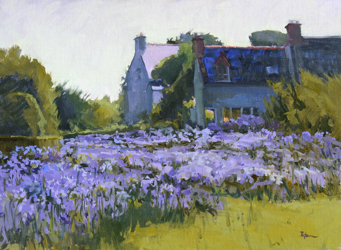 paint of a bunch of purple flowers and a big house at the back of them
