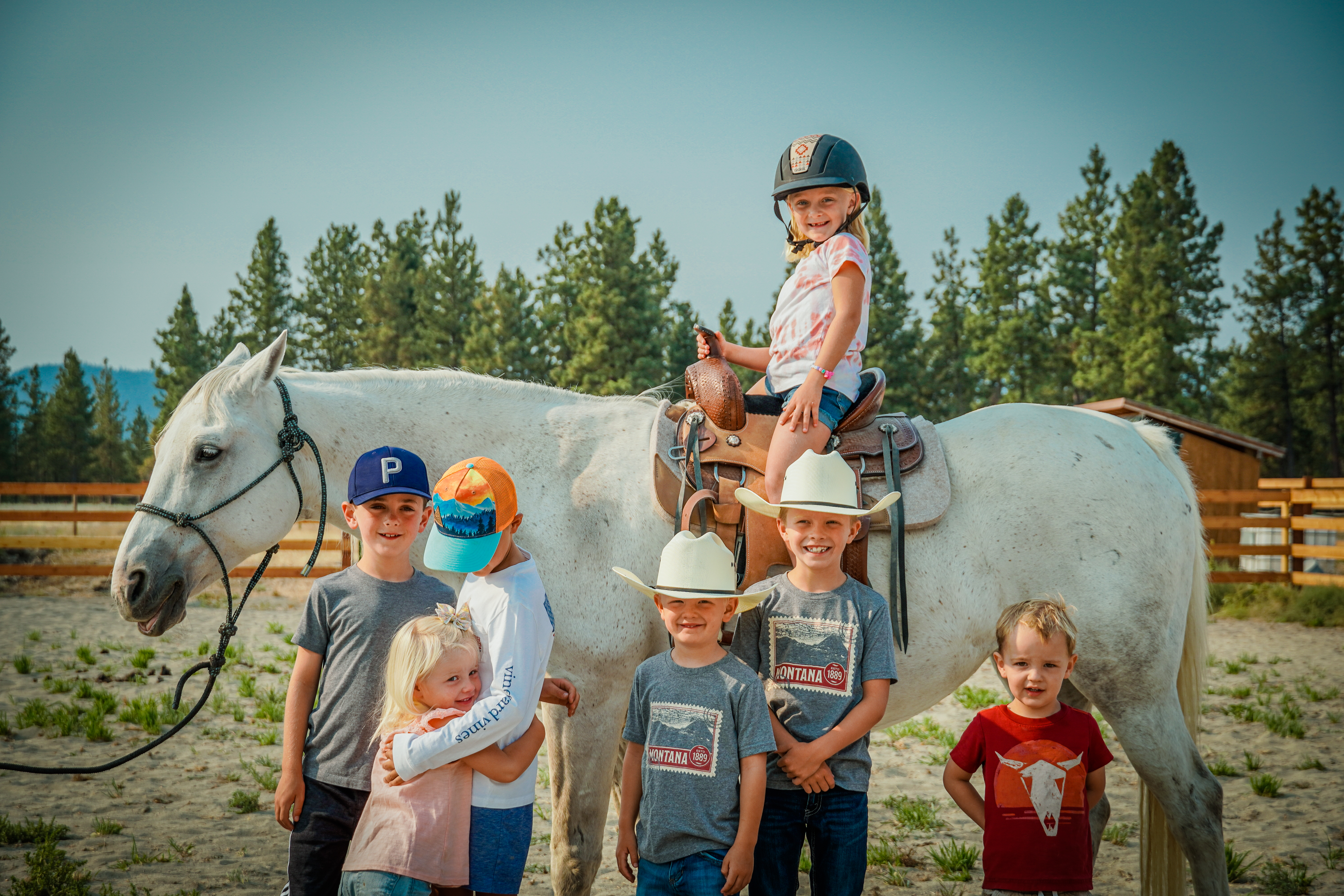 pony rides