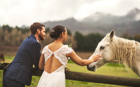 Bride and groom petting white horse
