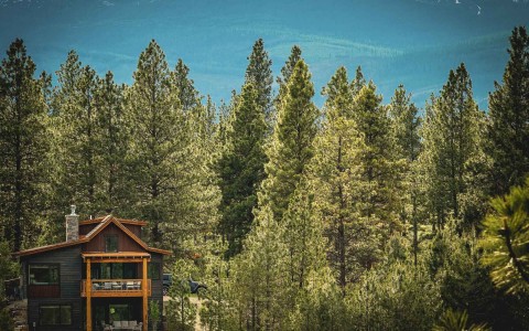 wilderness club montana cottage exterior surrounded by the forest