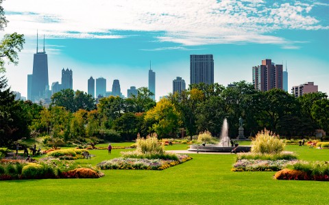 View of a big park with the Chicago City at the background